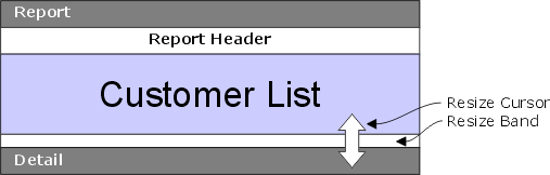 Report Resize Section
